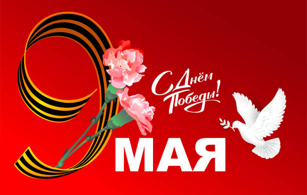 May 9 Victory Day text translation from Russian. Greeting card Victory Day dove of peace and bouquet of red carnations May 9 Victory Day text translation from Russian. Greeting card Victory Day dove of peace and bouquet of red carnations. Vector template illustration may 9 victory day card stock illustrations