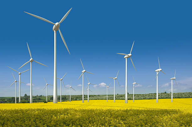 istock Wind turbines in a rapeseed field 120654661