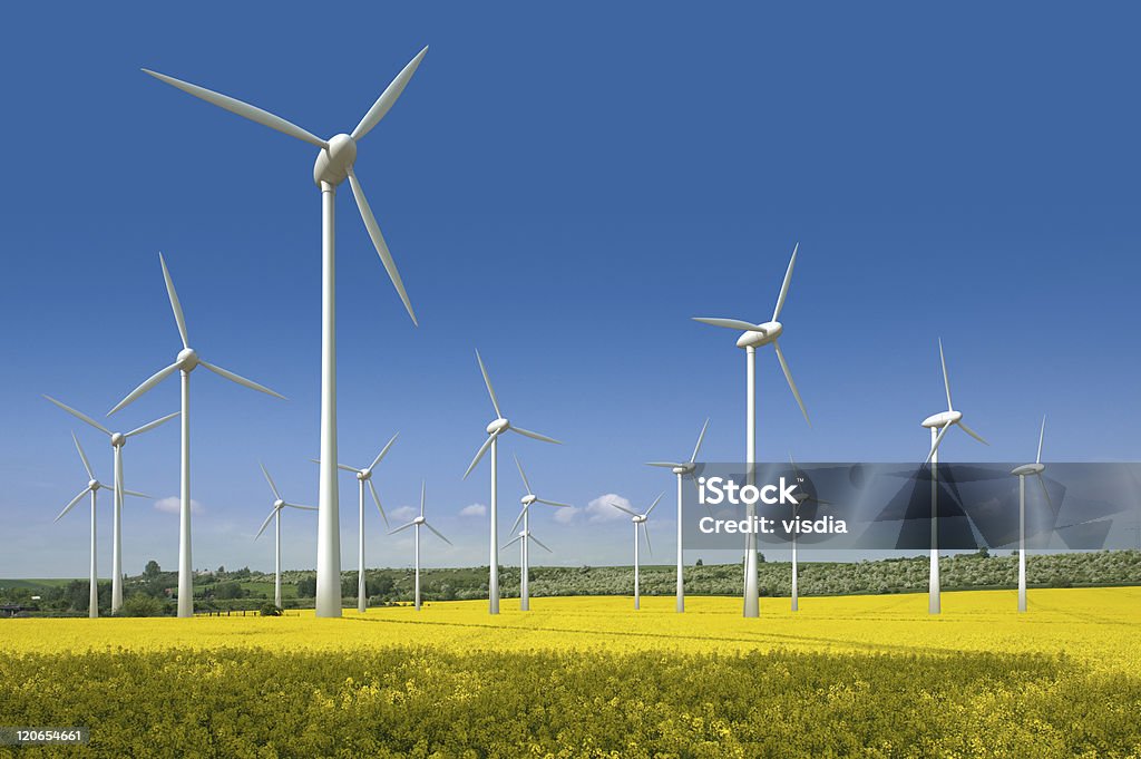 Wind turbines in a rapeseed field Blue Stock Photo