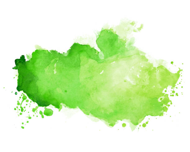 ilustrações, clipart, desenhos animados e ícones de textura de mancha de aquarela em tonalidade de cor verde - tinta de aguarela