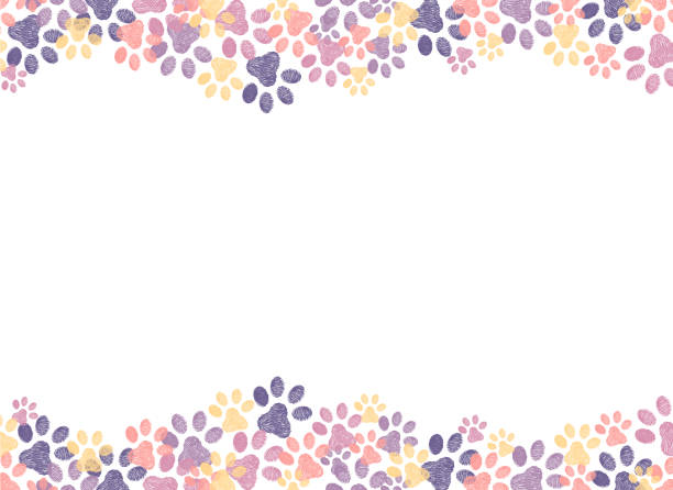 bunte pfote druck handgezeichneten hintergrund. - paw print stock-grafiken, -clipart, -cartoons und -symbole