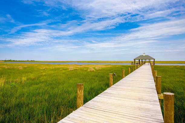 istock Louisiana Marshland Pier 1206559941