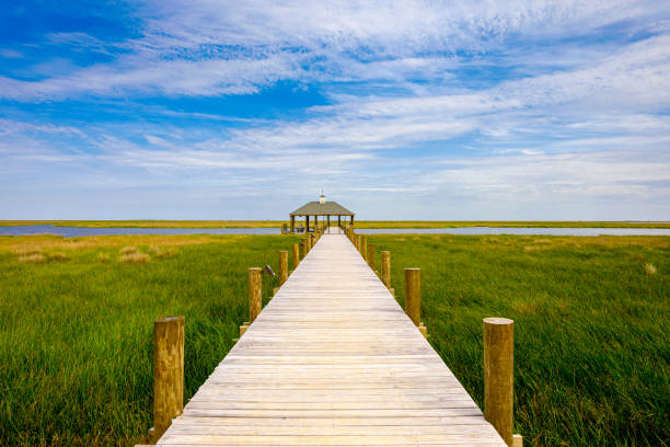 istock Louisiana Marshland Pier 1206559958