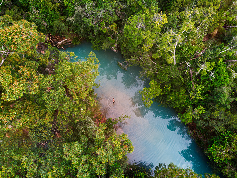 the natural swimming hole of cardwell spa is located in tropical north queensland. the waters amazing blue colour is a result of natural minerals absorbed from stone in the creek that flows into the pool.