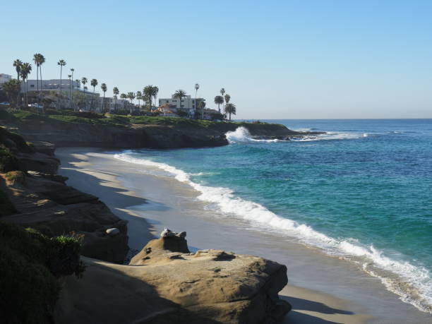 istock Seascape in La Jolla San Diego 1206564662