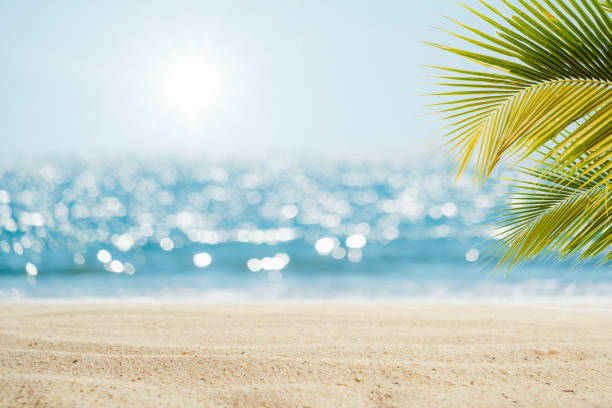 istock Beautiful Seascape tropical beach background. 1206566634
