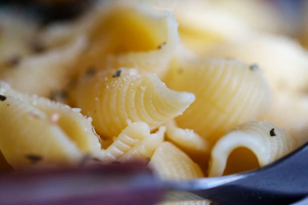 istock homemade vegetable cheese conchiglie 1206567165