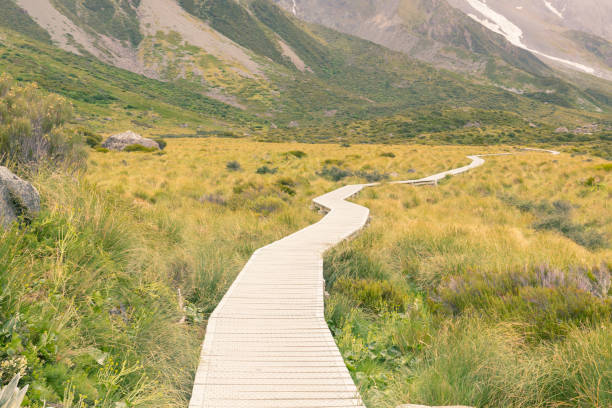istock Wooden walk way leading to mountain in Hook Valley 1206567335