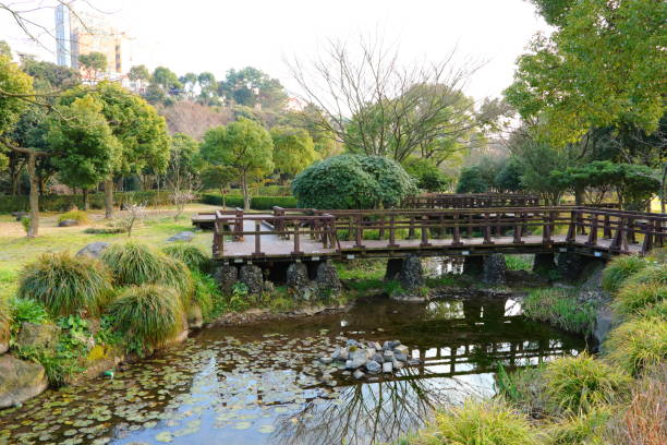 Shangmae Ecological Park, Plum, Spring Flower, Spring, Ecology, Flower Blossoms,