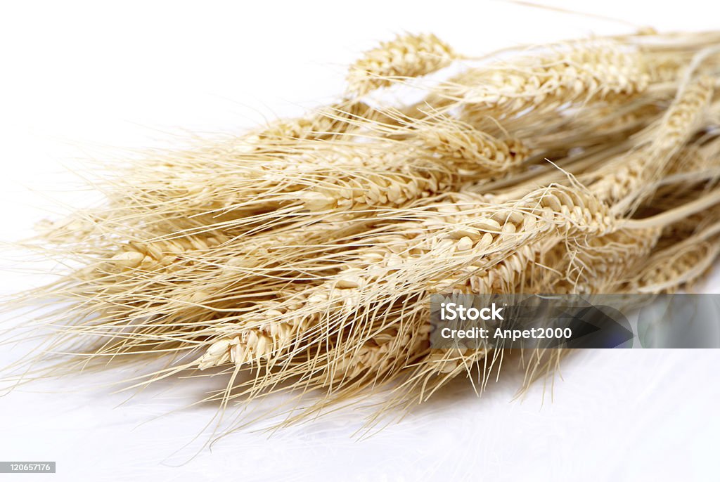 Close up of wheat nice detail background Agriculture Stock Photo