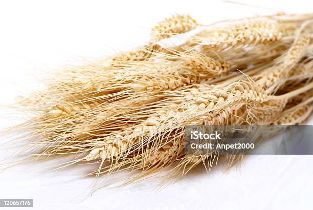 Close Up Of Wheat Nice Detail Background Stock Photo - Download Image Now - Agriculture, Bran, Cereal Plant