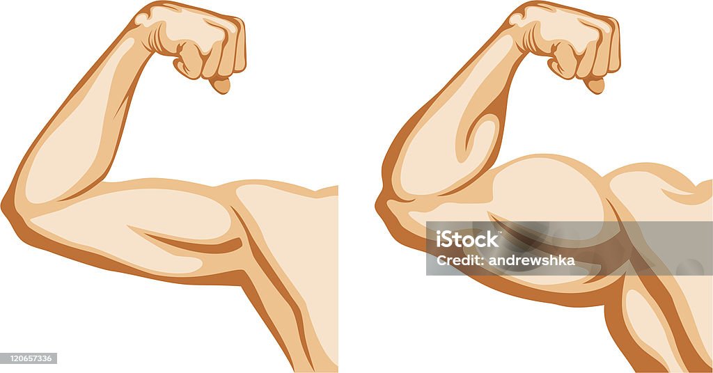 Hand Before and After fitness Before and After. Two hands shows progress after fitness. Bicep stock vector