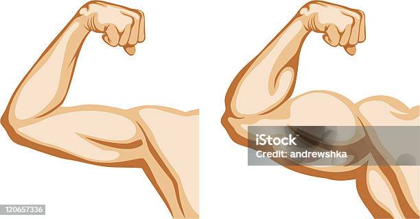 Hand Before And After Fitness Stock Illustration - Download Image Now - Bicep, Muscular Build, Strength