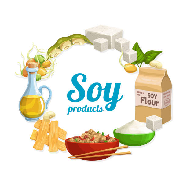 fasola sojowa, tofu, olej i mąka, mięso i makaron - tofu skin stock illustrations