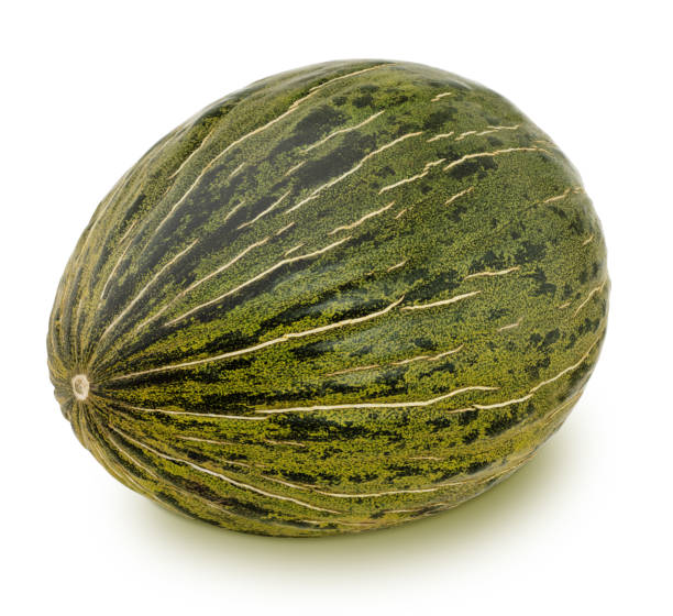 istock Fresh ripe melon isolated on a white background. 1206576407