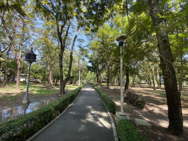 istock walkway in nature garden 1206579991