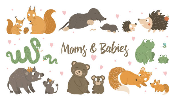 Vector set of hand drawn flat baby animals with parents. Funny woodland animal scene showing family love. Cute forest animalistic illustration for Motherâs Day design Vector set of hand drawn flat baby animals with parents. Funny woodland animal scene showing family love. Cute forest animalistic illustration for Motherâs Day design bear clipart stock illustrations