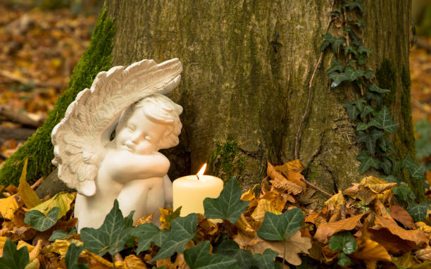 entierro del bosque, ángel con velas en el tronco del árbol - praying forest freedom tree fotografías e imágenes de stock