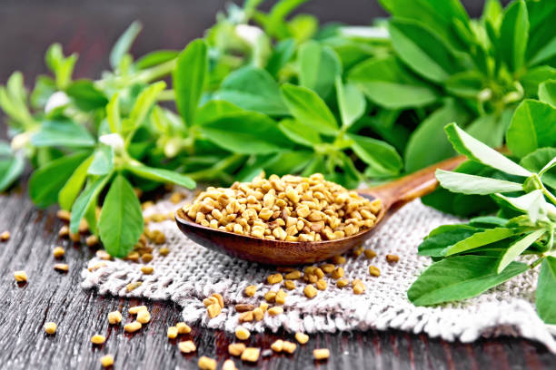 istock Fenugreek in spoon with leaves on board 1206584190