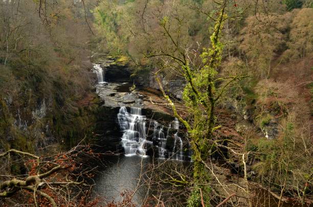 landscapes of scotland - falls of clyde - lanarkshire imagens e fotografias de stock