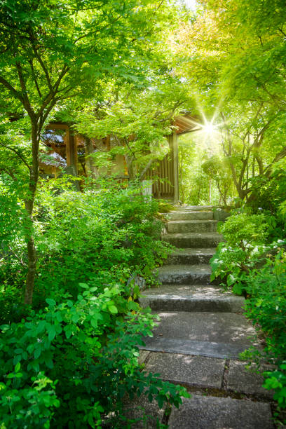 istock nice lighting with green leaf and small road to the house 1206589424