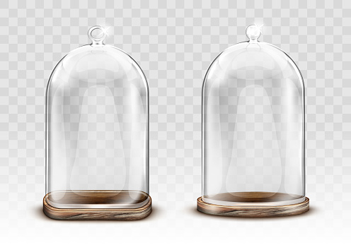 Vintage glass dome and old wooden tray realistic vector. Retro transparent glass dome square shape with knob handle, storage container, product presentation case with reflection, isolated illustration