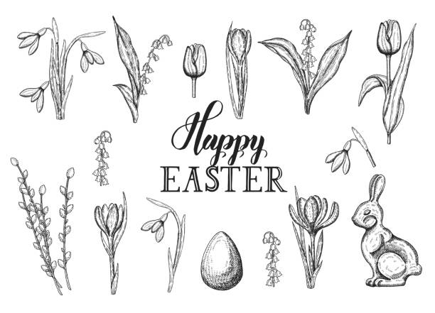 손으로 그린 부활절 달걀, 초콜릿 토끼, 계곡의 백합, 튤립, 스노우 드롭, 크로커스, 버드 나무와 함께 설정합니다. 손으로 만든 글자 - 행복한 부활절 - easter egg retro revival tulip decoration stock illustrations