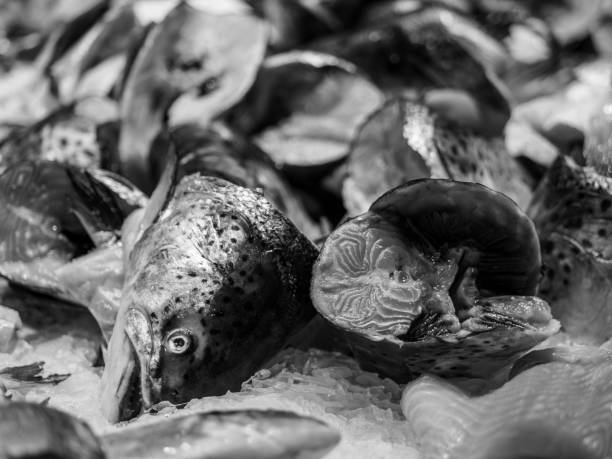 Fish being sold at a marketplace