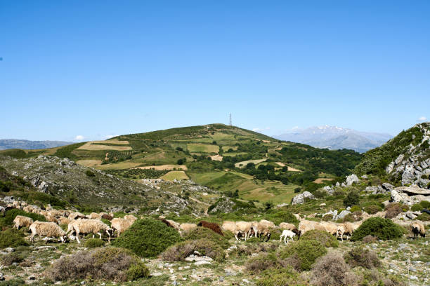 istock Southern crete panorama, Greece 1206597170