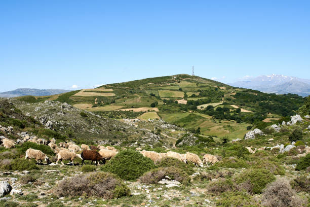 istock Southern crete panorama, Greece 1206597177