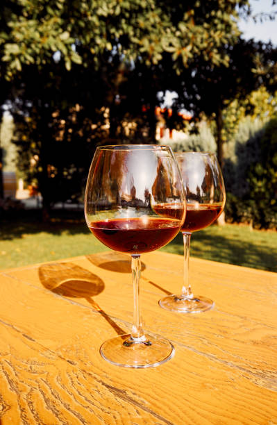 istock Two Glasses of Fresh Red Wine for Celebration 1206597197