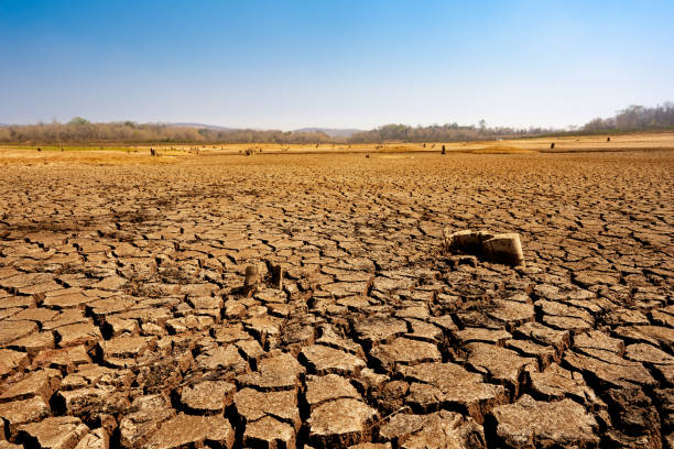 istock Cracked earth from arid drought weather in dam or river, hot summer nature and warming climate environment 1206600977