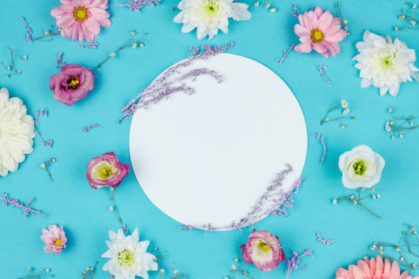 istock Flowers isolated on blue background 1206602430