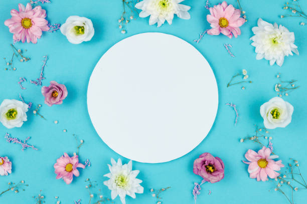 istock Flowers isolated on blue background 1206602485