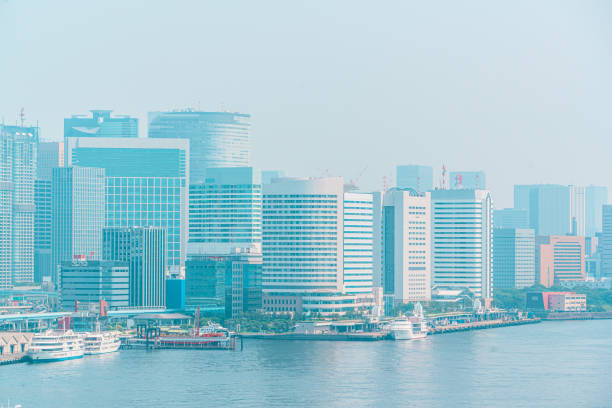 istock Tokyo City Skyline and Cityscape 1206604985