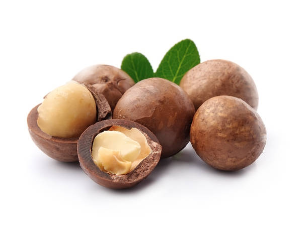 Macadamia nuts stock photo