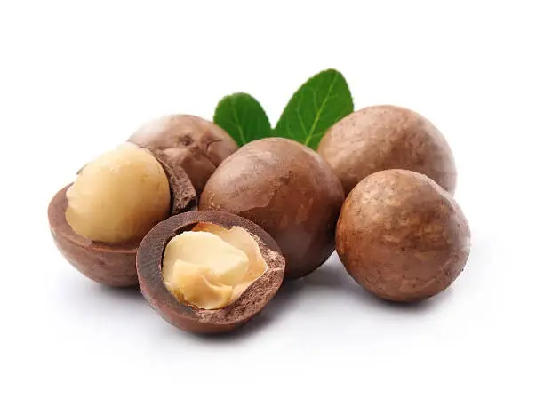 Macadamia nuts isolated on white backgrounds.