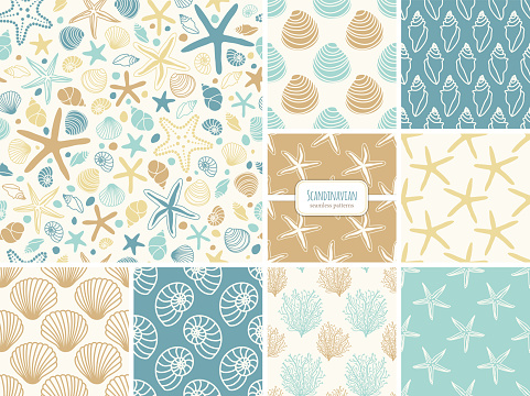 Set of seamless pattern with hand drawn seashells and sea stars, neutral colors marine theme vector illustration in minimal scandinavian style, ideal for interior design, textile, fabrics etc