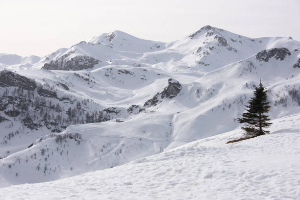 istock Snowy mountains in Snowy Meadow 1206610782