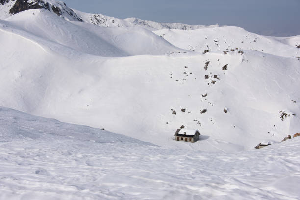 istock Snowy mountains in Snowy Meadow 1206611684