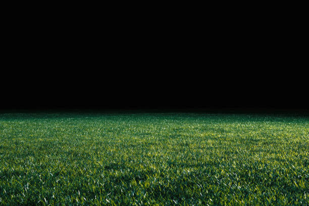 istock Low angle view across a lawn or sports field 1206612097