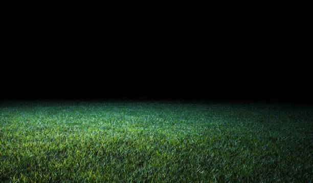 istock Low angle view across a lawn or sports field 1206612225