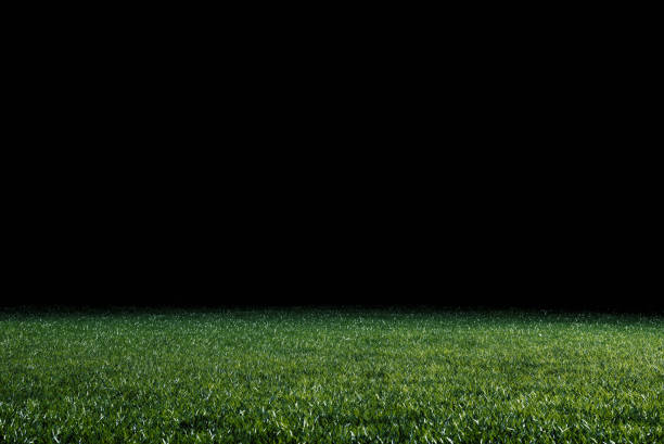 istock Low angle view across a lawn or sports field 1206612324