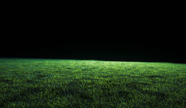 istock Low angle view across a lawn or sports field 1206612379