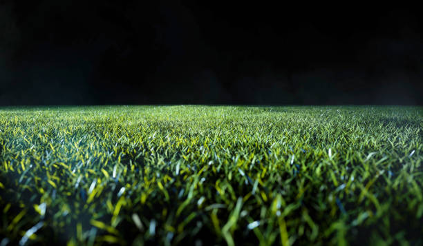istock Low angle view across a lawn or sports field 1206612415