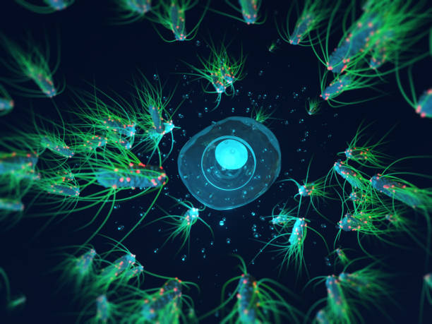 istock Viruses attack a healthy cell. Coronavirus. Cancer cells. 1206616057