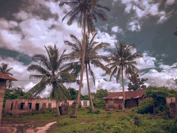istock Local tropical view from Africa 1206617089