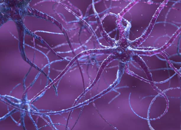 istock Coronavirus 2019-nCov, coronaviruses influenza. Microscope virus close up 1206623651
