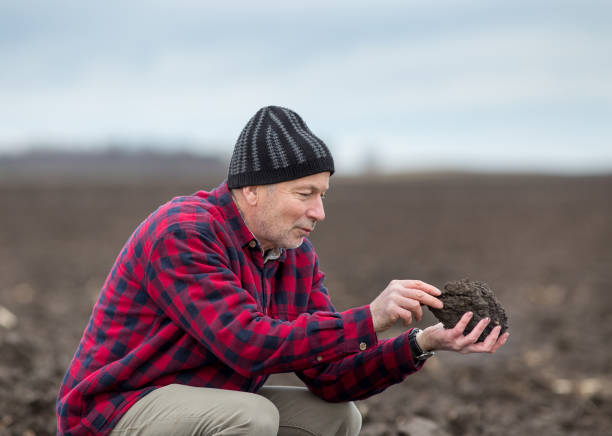 istock Farmer examining soil quality in field 1206625885