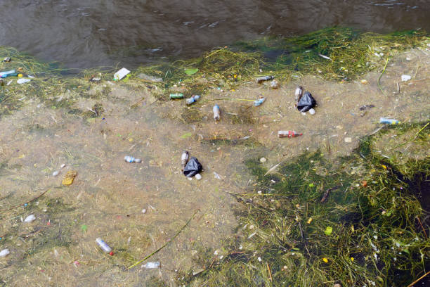 istock garbage plastic waste floating in the water. pollution and environment concept 1206627279